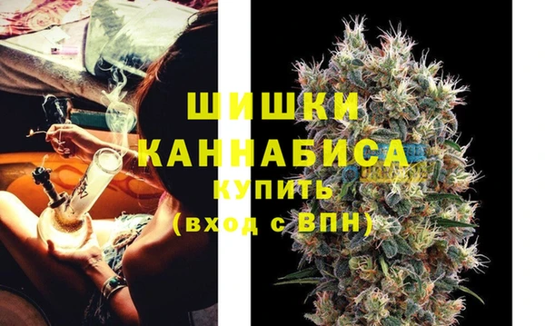 дживик Белокуриха