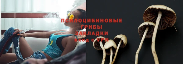 гидропоника Бронницы