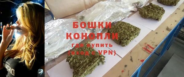 дживик Белокуриха