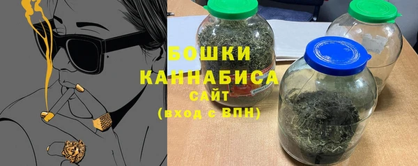 ПСИЛОЦИБИНОВЫЕ ГРИБЫ Бородино
